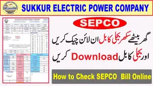 SEPCO Duplicate Bill Online Check