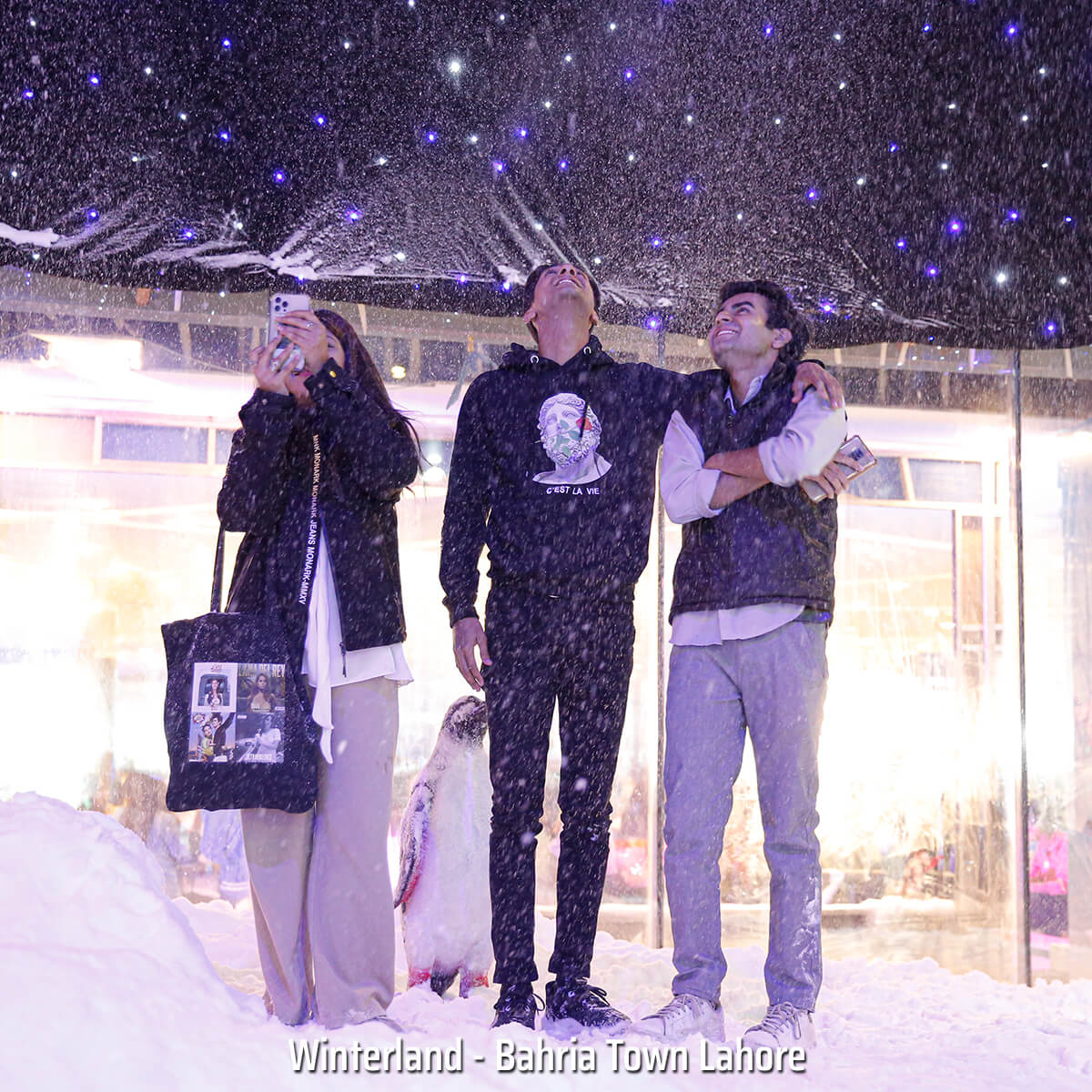 Winterland