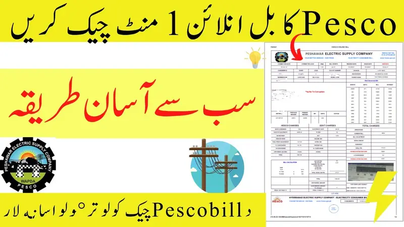 Check Pesco Duplicate Bill Online 14 Digit Reference Number