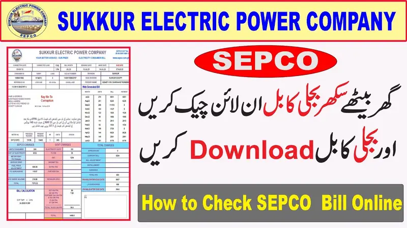 SEPCO Duplicate Bill Online Check