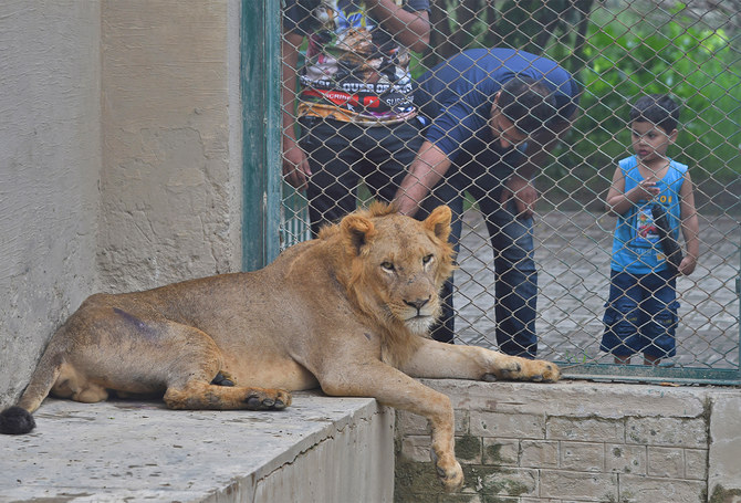 lahore zoo