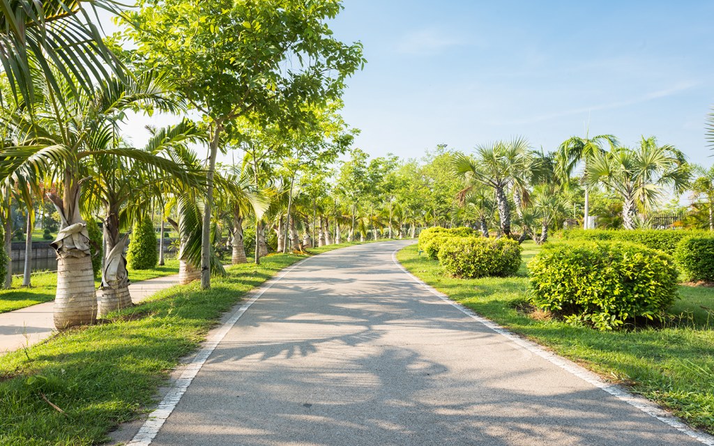 A Guide to Jilani (Race Course) Park Lahore